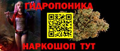 СК Тверь